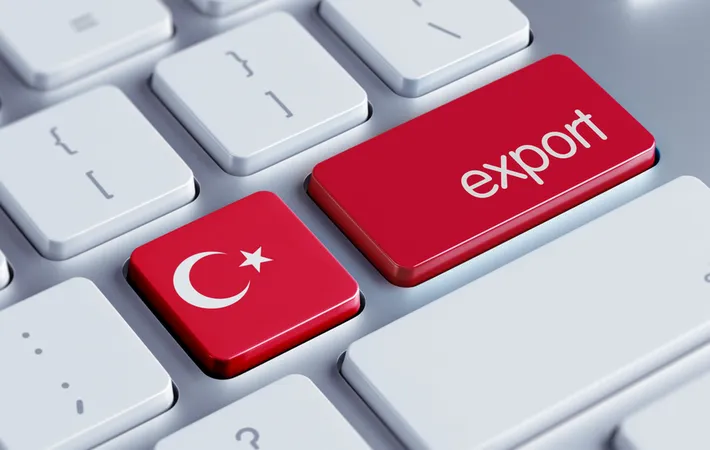 صادرات به ترکیه توسط شرکت بازرگانی طاتا